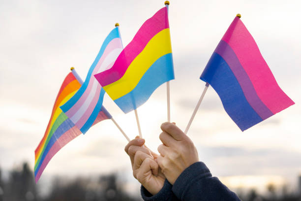 istock Hands holding pride flags in the sky 1331430961
