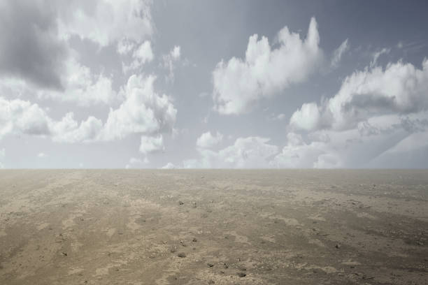 istock Views of sand dune 1331431273