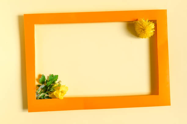 istock A colored frame decorated with yellow flowers on a light background of the mine space. Flat ley bright orange frame and yellow flower decor 1331433939