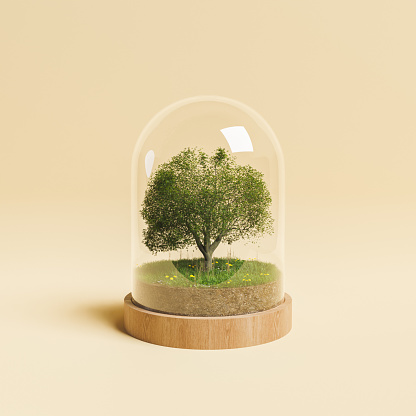 tree with small meadow inside a glass dome on beige background. concept of climate change, environment and nature. 3d render