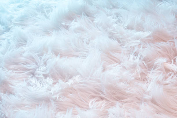 istock White faux fur in neon light 1331436500