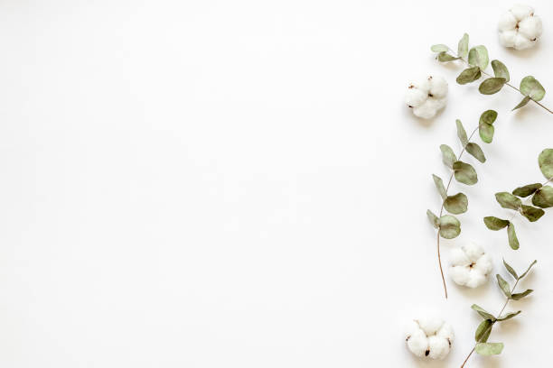 istock Layout floral pattern with eucalyptus branches and cotton flowers 1331437368