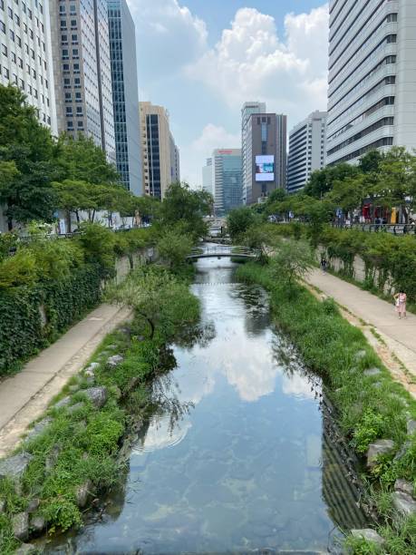 istock creek in the city 1331445311