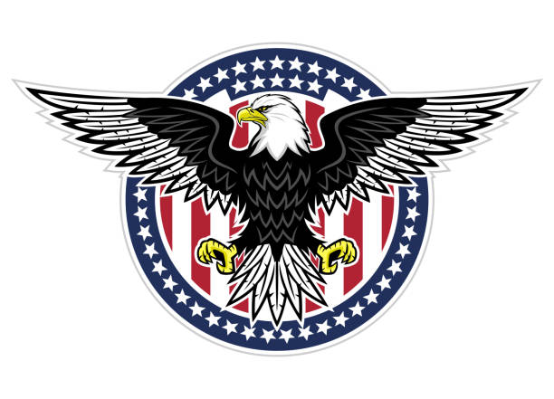 Round icon with bald eagle. Round icon with bald eagle and stars on white background. feather flag stock illustrations