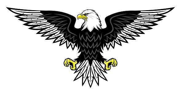 Illustration with bald eagle icon isolated on white background.