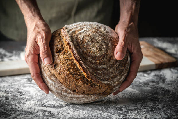 manos masculinas sosteniendo pan de masa madre marrón pan redondo integral estilo alemán casero - bakers yeast fotografías e imágenes de stock