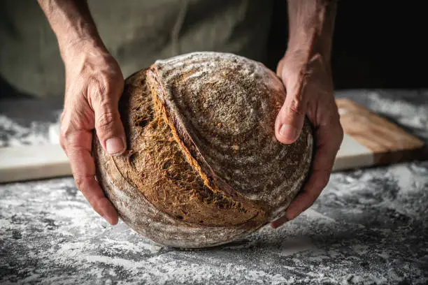 Male hands holding Sourdough bread brown round loaf wholegrain homemade German style on white flour background