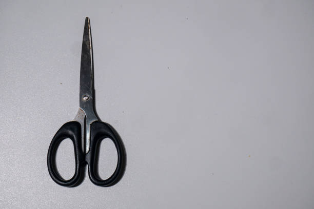istock steel scissors with black handle photographed on a white background 1331448988