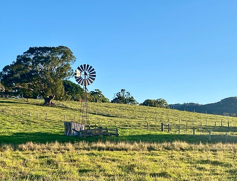Horizontal landscape of traditional windmill wind turbine on country farm fields under a blue clear sky with tree lined horizon and cattle grazing grass in rural Mullumbimby near Byron Bay NSW Australia