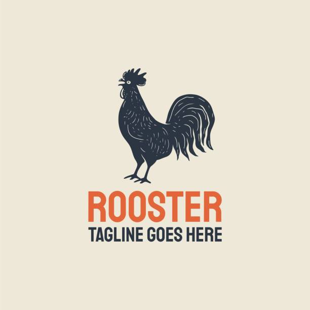 Rooster, chicken, hen, poultry, silhouette. Vintage retro hipster  design vector stock illustration Indonesia, Chicken Meat, Rooster, Vector, Illustration Rooster, chicken, hen, silhouette. Vintage retro Rooster  design illustration bantam stock illustrations