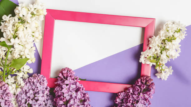 istock blank photo frame and lilac flowers on violet and white background. Space for text 1331456063