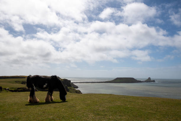 istock Rhossili Bay in the Gower Peninsula 1331457730