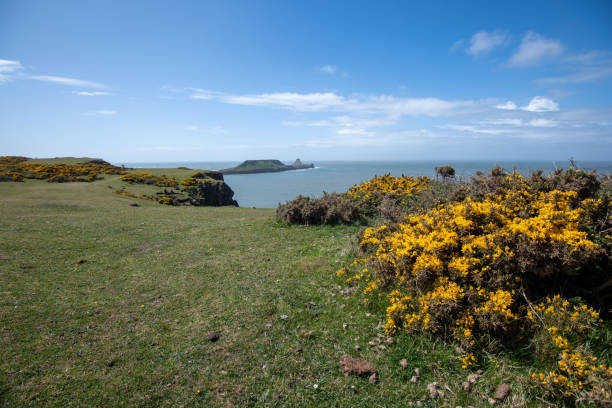 istock Rhossili Bay in the Gower Peninsula 1331457733