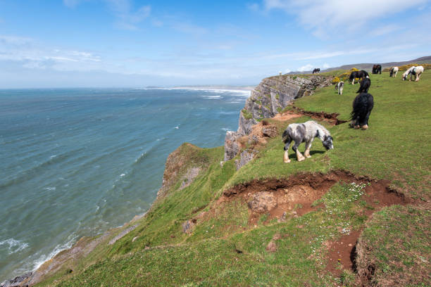 Rhossili Bay in the Gower Peninsula on a summer's day in Swansea, Wales
