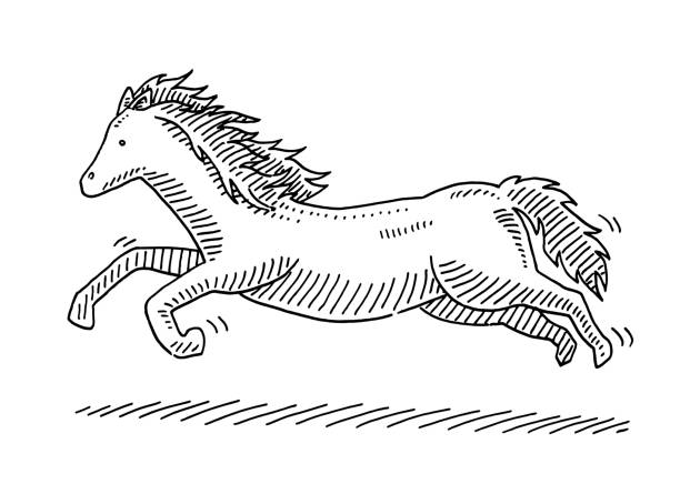 Vetores de Pulando Desenho De Cavalo De Desenho Animado e mais imagens de  Cavalo - Família do cavalo - Cavalo - Família do cavalo, Rabisco - Desenho,  Animal - iStock