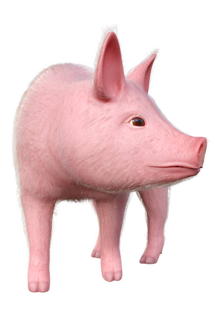 istock 3D illustration pink piglet on white 1331460487