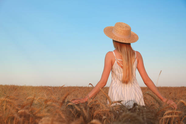 istock Woman in ripe wheat spikelets field, back view. Space for text 1331464141
