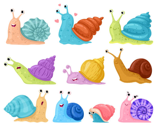 мультяшная улитка. садовые улитки талисманы, ми�лые маленькие брюхоногие моллюски в красочных раковинах улиток мультяшный векторный набор  - vector animal snail slug stock illustrations