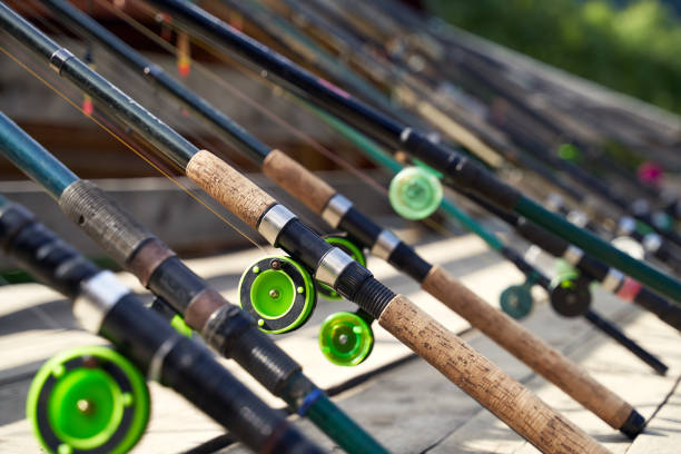89,100+ Fishing Rod Stock Photos, Pictures & Royalty-Free Images - iStock