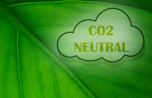 istock CO2 carbon neutral emission stamp against green leaf background. Concept for climate change, green fuel and earth protection, 1331476696