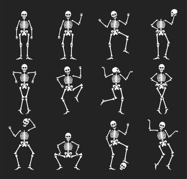 Set of funny halloween skeleton vector flat illustration creepy characters with skull and bones Set of funny halloween skeleton in different poses vector flat illustration. Collection cute creepy characters with skull and bones dancing, jumping, squatting and playing. Scary creature with joints human skeleton stock illustrations