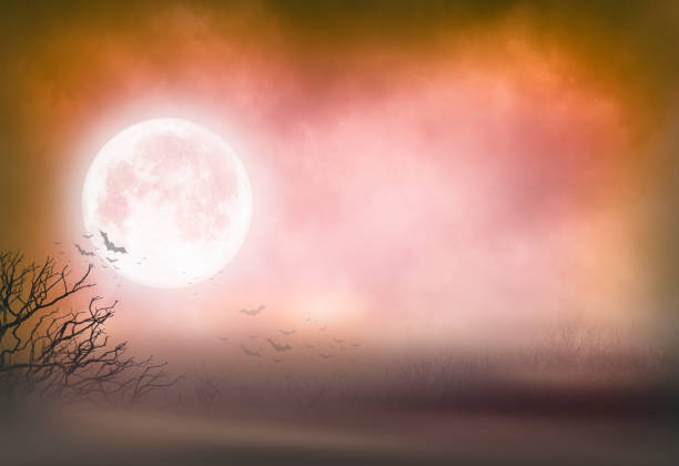 istock Bats Silhouetted Against Full Moon On Foggy Night 1331479323