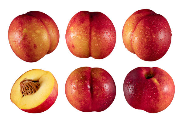 Cut open peach with seedMore food images: