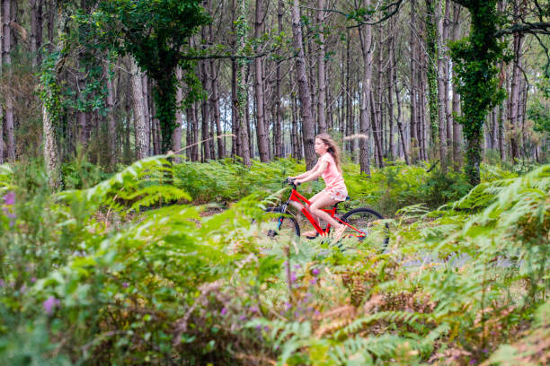 istock young girl riding a bicycle on a cycle path through a beautiful forest 1331483566