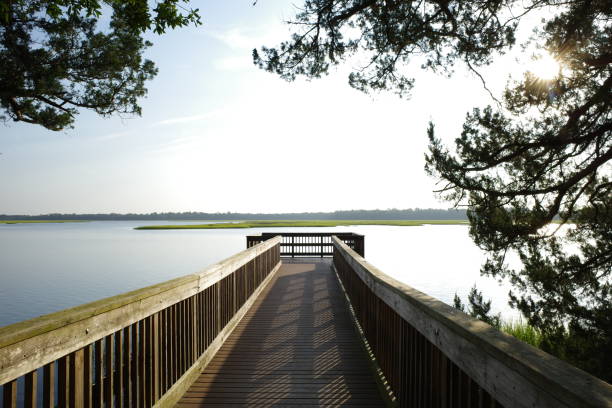 Fishing Dock stock photo