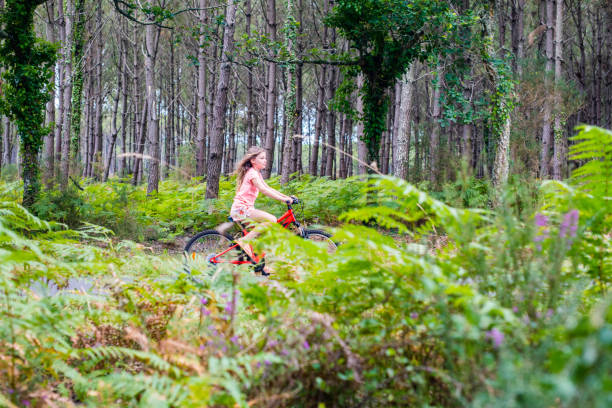young girl riding a bicycle on a cycle path through a beautiful forest