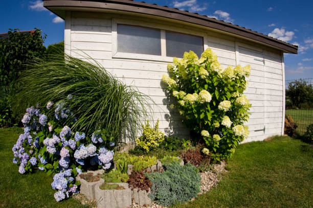 istock Garden shed surrounded by blooming flowers and plants 1331484959