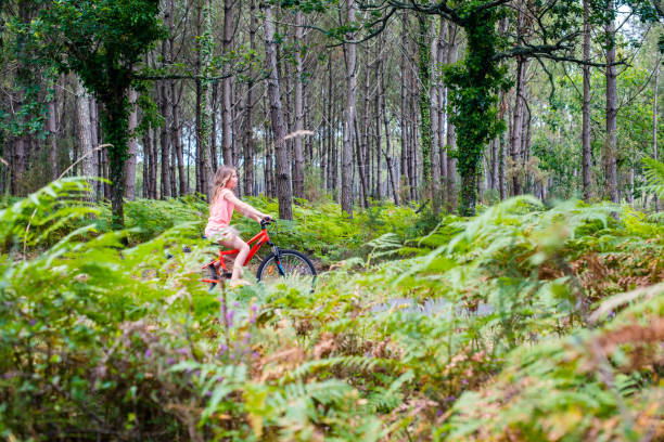istock young girl riding a bicycle on a cycle path through a beautiful forest 1331485808
