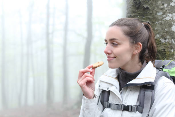 istock Trekker resting eating cookie in a forest 1331495899