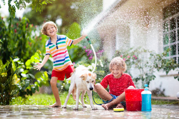 Kids wash dog in summer garden. Water hose fun. Kids wash dog in summer garden. Water hose and sprinkler fun for kid. Children washing puppy on outdoor patio in blooming backyard. Kids play. Child with pet. Family bathing dog. Animal care. water hose stock pictures, royalty-free photos & images