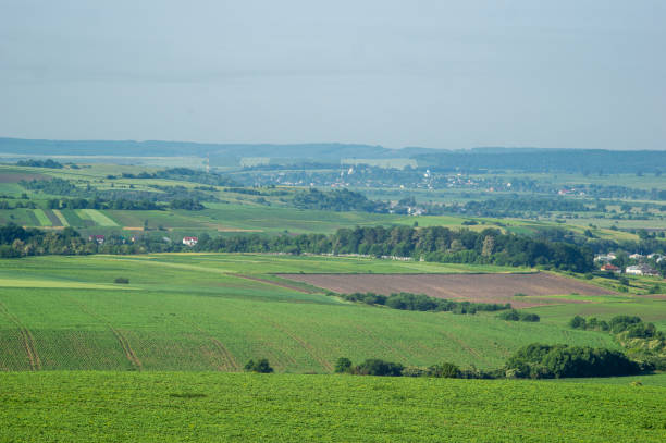 istock Beautiful summer landscape, fields in the countryside 1331500709