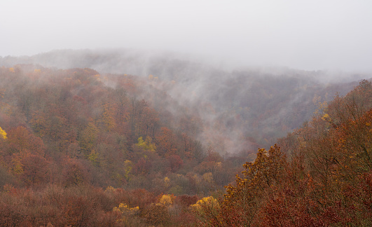 Heavy fog during autumn at Kopparhatten in Soderasen National park.This is Scania's highest point at 212 m (696 ft) above sea level.