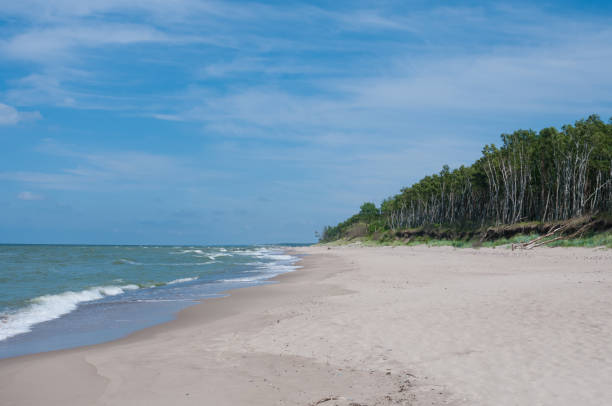 istock Sandy sea coast and forest. Tranquil landscape 1331506528
