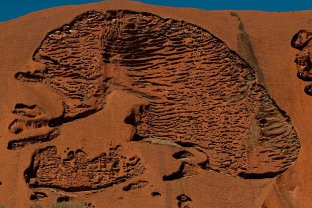 Australia shows lot of aspects, from tropical to desertic environment