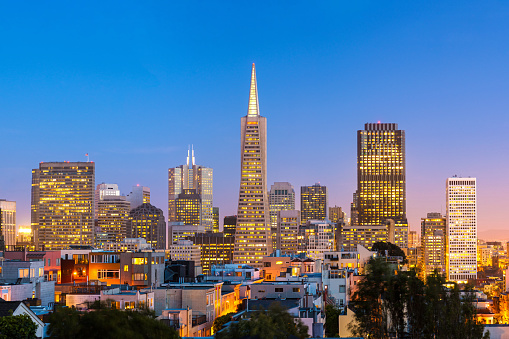 Wide angle view of the San Francisco downtown skyline, California, USA.