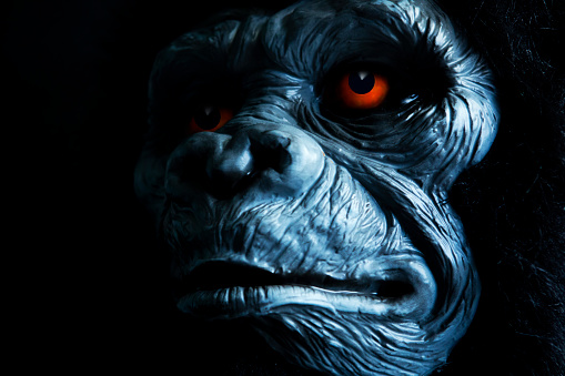 A creepy ape head in the dark.