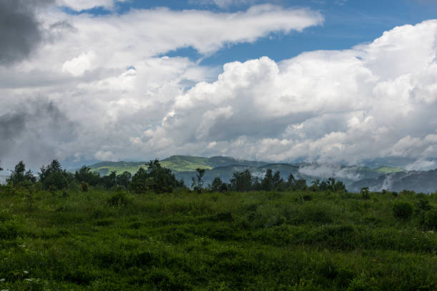 istock Misty mountains after heavy spring rain 1331515112