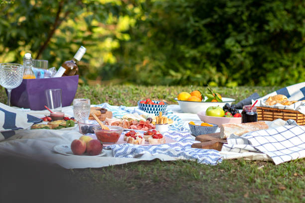 istock Picnic in the park 1331516333