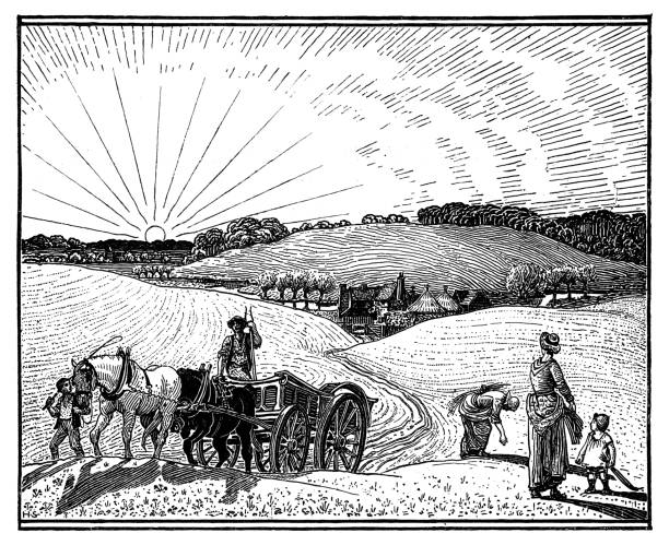 Farming Farming - Scanned Engraving antique pitchfork stock illustrations