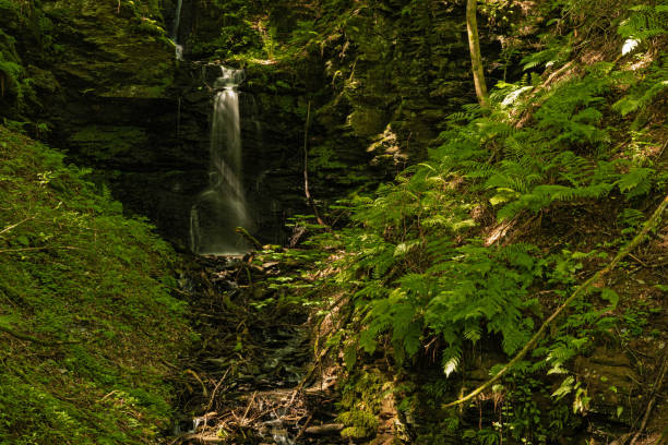 istock small waterfall in a forest in the moselle area near Wolf 1331520578