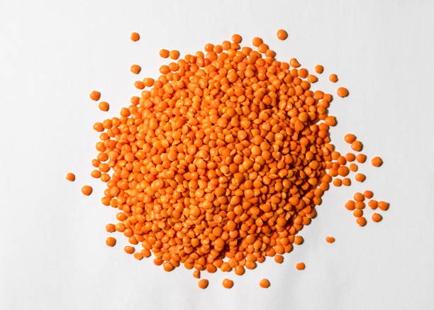 red lentils on a white background, raw legumes - lentil full frame macro close up imagens e fotografias de stock