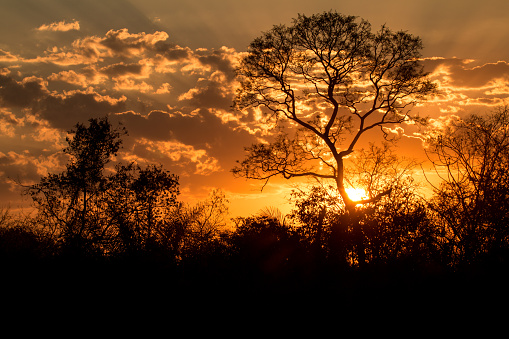 Sunset over The Pantanal in Mato Grosso State, Brazil