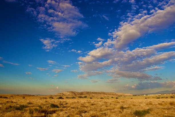 istock California Desert Landscape 1331532720