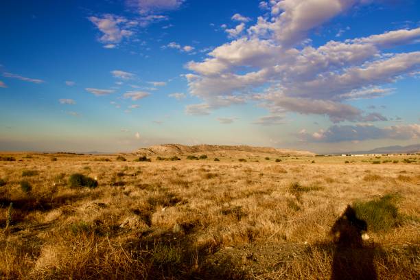 istock California Desert Landscape 1331533263