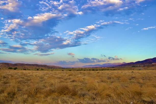 California Desert Landscape