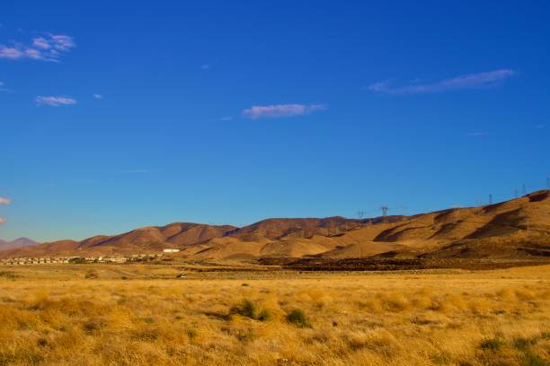 istock California Desert Landscape 1331533331
